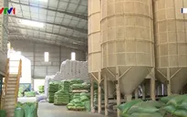Thủ tướng đồng ý cho xuất 400.000 tấn gạo trong tháng 4