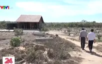 Bà Rịa - Vũng Tàu: Ngang nhiên lấn chiếm đất rừng phòng hộ, xây dựng trái phép
