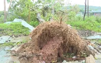 Mưa đá kèm theo gió lốc gây thiệt hại nặng ở Mộc Châu (Sơn La)