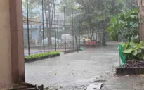 Xuất hiện cơn mưa trái mùa giải tỏa nắng nóng tại ĐBSCL