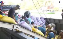 Doanh nghiệp gặp khó khăn khi đăng ký xuất khẩu gạo trực tuyến