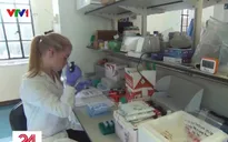 Phát hiện 3 chủng virus Corona gây bệnh COVID-19