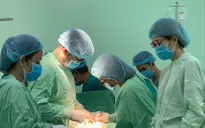 Cảnh báo sốt xuất huyết ở thai phụ