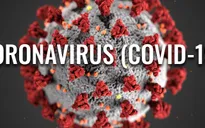 Đại dịch COVID-19, cập nhật ngày 14/4: Việt Nam không ghi nhận ca nhiễm mới, Mỹ vẫn dẫn đầu top biến động