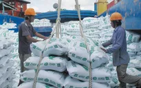 Không có sự can thiệp của công chức hải quan trong xuất khẩu gạo