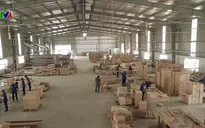 Ngành gỗ gặp khó do ảnh hưởng dịch COVID-19