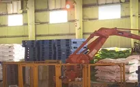 Ngành phân bón lao đao vì thiệt hại hơn 4.000 tỷ USD