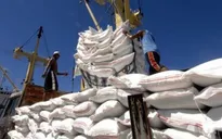 Doanh nghiệp xuất khẩu gạo kiến nghị xem xét lại việc mở tờ khai