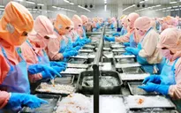 Hơn 50% DN không thể trụ lại trong 5 - 6 tháng tới nếu dịch COVID-19 vẫn phức tạp