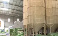 Có hay không việc một số doanh nghiệp từ chối hợp đồng gạo dự trữ quốc gia chuyển sang xuất khẩu?
