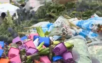 Ngành sản xuất hoa Hà Lan "điêu đứng" vì COVID-19