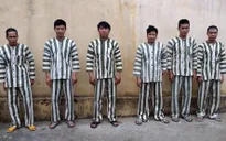 Bắt khẩn cấp 6 đối tượng đốn hạ 4 cây gỗ hương