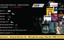 Đón xem những bộ phim điện ảnh quốc tế đặc sắc trên VTVcab