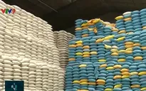 Một số doanh nghiệp không bán gạo cho dự trữ Nhà nước