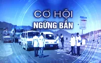 Cơ hội cho lệnh ngừng bắn toàn cầu