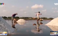 Mặn mòi vị muối Bạc Liêu
