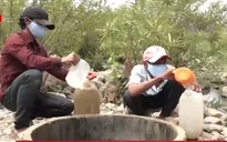 Người dân Ninh Thuận mòn mỏi mong nước về vùng xa