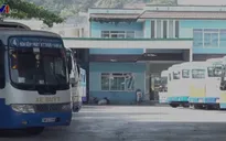 Khánh Hòa tiếp tục tạm dừng vận tải hành khách