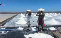 Chế biến sâu nâng cao giá trị hạt muối
