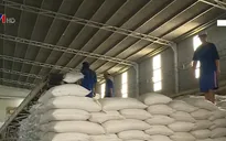 Bộ NN&PTNT kiến nghị tiếp tục cho xuất khẩu gạo nếp