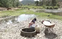 Người dân Ninh Thuận thiếu nước sinh hoạt nghiêm trọng do khô hạn