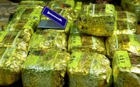 Truy nã toàn quốc đối tượng trong đường dây vận chuyển trái phép hơn 30kg ma túy đá
