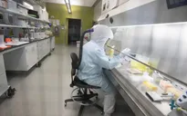 Anh thành lập nhóm đặc nhiệm nghiên cứu vaccine phòng COVID-19