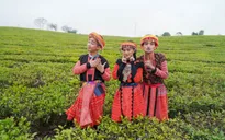 Ẩm thực kỳ thú: Mạc Văn Khoa, Đỗ Duy Nam cover "Để Mị nói cho mà nghe" cực hài hước