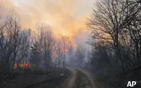 Ukraine: Cháy rừng khiến không khí ở Kiev ô nhiễm nhất thế giới