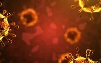 Mỹ yêu cầu Trung Quốc cho tiếp cận phòng thí nghiệm virus ở Vũ Hán