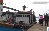 Khó hoàn thành lắp đặt máy giám sát hành trình tàu cá