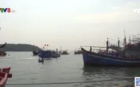 Quảng Ngãi tăng cường kiểm tra thiết bị giám sát hành trình tàu cá