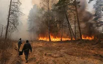 Ukraine: Ô nhiễm không khí nghiêm trọng do cháy rừng