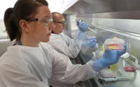 Australia thử nghiệm giai đoạn 1 vaccine phòng COVID-19