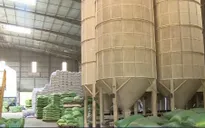 Thủ tướng yêu cầu thanh tra đột xuất về xuất khẩu gạo