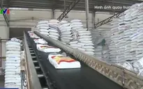 Điều tiết xuất khẩu linh hoạt đảm bảo an ninh lương thực