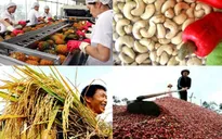 5 loại nông sản xuất khẩu tăng mạnh nhất tháng 3