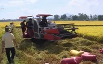 Quyết định miễn thuế sử dụng đất nông nghiệp đến năm 2025