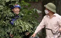 Những ngày không quên - Tập 12: Trốn cách ly, Cân dùng cành cây nguỵ trang để sang gặp Đào