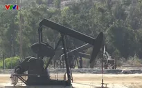 Giá dầu thô WTI giảm xuống mức âm - “Thảm họa” ngành công nghiệp dầu lửa Mỹ