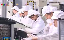 Các khu công nghiệp tại TP.HCM vẫn hút vốn đầu tư