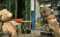 Pháp: Tiệm báo dùng gấu bông để nhắc nhở giãn cách xã hội