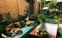 Căn nhà “chắp vá” xinh xắn ở Hội An