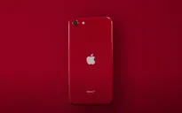 iPhone SE mới sẽ "cướp" khách hàng của iPhone 11