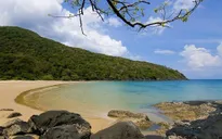 Bà Rịa - Vũng Tàu cho phép mở lại đường bay tới Côn Đảo từ 24/4