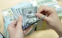 Tỷ giá trung tâm sáng nay (24/4) tăng 11 đồng
