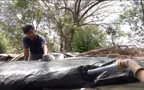 Hạn mặn ở ĐBSCL: Về lâu dài cần xem nước mặn là tài nguyên