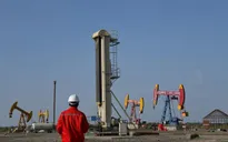 Tranh thủ giá dầu giảm mạnh, Trung Quốc tăng mua dự trữ