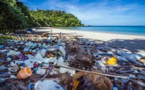 Thái Lan phát động làm sạch biển trong mùa dịch