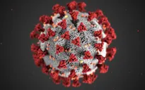 Ánh sáng mặt trời, nhiệt độ và độ ẩm cao khiến virus SARS-CoV-2 yếu đi